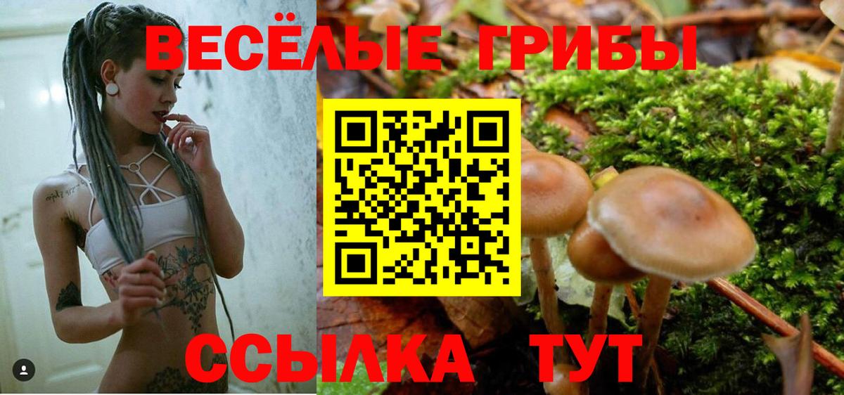 Амурск  Галлюциногенные грибы мицелий  Галлюциногенные грибы Cubensis  Вход с VPN 